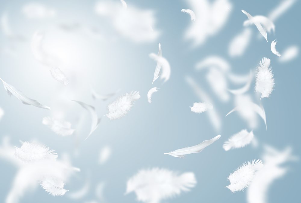 What It Means to Find a White or Coloured Feather