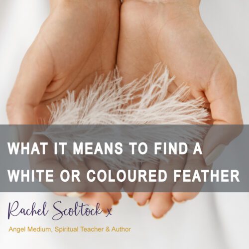 What It Means to Find a White or Coloured Feather Rachel Scoltock